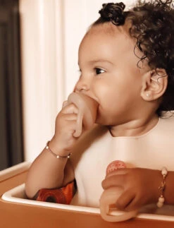 Ali+Oli Silicone Food & Fruit Feeder 2-Pack -Megababies USA 0B42CFB5 1255 4A57 99DC E63E41490F32