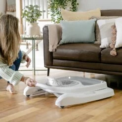 Ingenuity Step & Sprout 3-in-1 Activity Walker -Megababies USA 129b