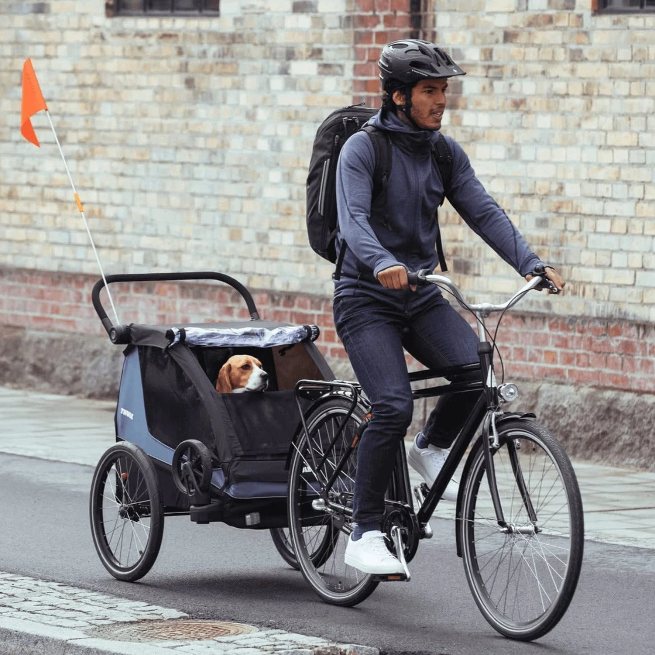 Thule Courier Dog Trailer Kit 6 Thule Courier Dog Trailer Kit - Image 6