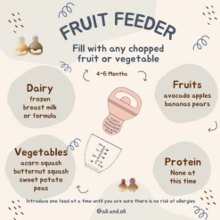 Ali+Oli Silicone Food & Fruit Feeder 2-Pack -Megababies USA Ali Oli Feeder 4 to 6 months