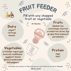 Ali+Oli Silicone Food & Fruit Feeder 2-Pack -Megababies USA Ali Oli Feeder 8 months