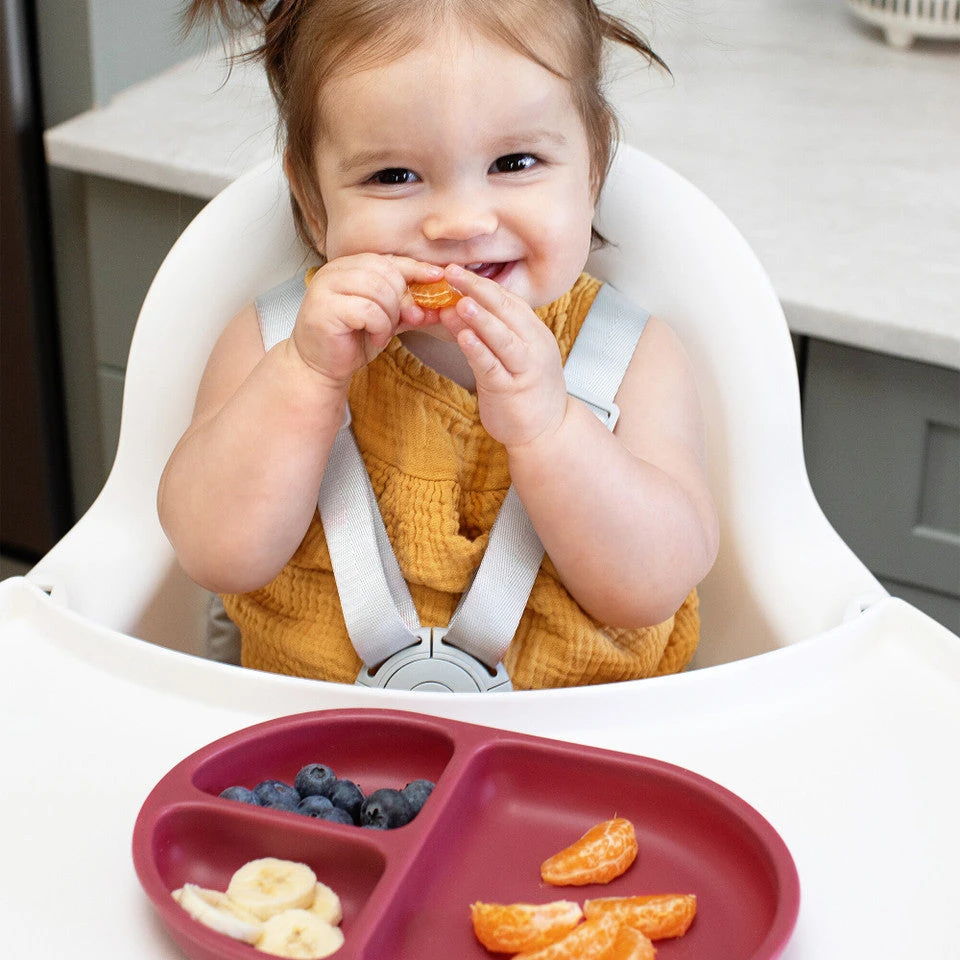 Boon CHOW Food-Safe Platinum Silicone Plate Set 12 Boon CHOW Food-Safe Platinum Silicone Plate Set - Image 12