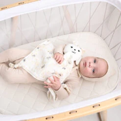 Adora Bunny Snuggle Cloth 17 Adora Bunny Snuggle Cloth -Megababies USA Bunny BoysVine2 1400x 34849d4a 9300 48c3 866a 43182ab79698