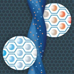 Chicco KidFit Adapt Plus 2-in-1 Belt Positioning Booster Car Seat -Megababies USA Chicco Adapt Graphic 2400 320