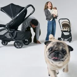 DFY. R1 Stroller Pet Basket 9 DFY. R1 Stroller Pet Basket -Megababies USA DFY R1 Pet Basket 1600x1600 Listing 4 1