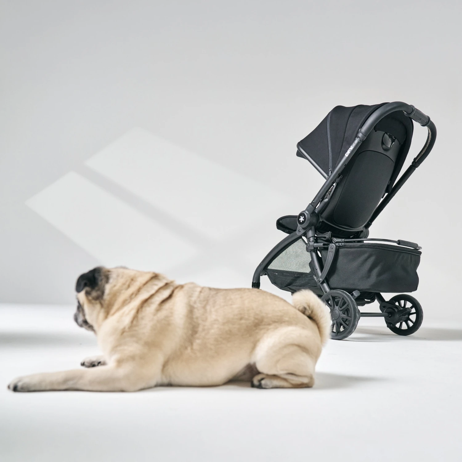 DFY. R1 Stroller Pet Basket 6 DFY. R1 Stroller Pet Basket - Image 6