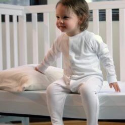 Moonlight Slumber Little Dreamer Toddler Pillow With Organic Cover -Megababies USA DSC 0680a