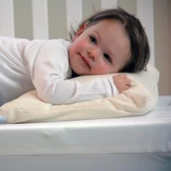 Moonlight Slumber Little Dreamer Toddler Pillow With Organic Cover -Megababies USA DSC 0700a