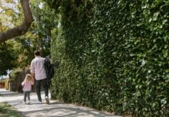 UPPAbaby G-Luxe Stroller 11 UPPAbaby G-Luxe Stroller -Megababies USA GLUXE18 JKE Folded 259 2500x1744 e9d370f