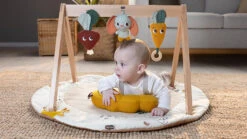 Tiny Love Garden Of Adventures Luxe Developmental Gymini With Book -Megababies USA Garden of Adventures GYMINI 10