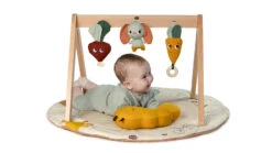 Tiny Love Garden Of Adventures Luxe Developmental Gymini With Book -Megababies USA Garden of Adventures GYMINI 8