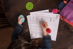 Innobaby Spike Fij-It Fidget Play Toy -Megababies USA Innobaby2018 198 53148.1520535501