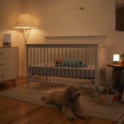 Safety 1st Safety 1ˢᵗ WiFi Baby Monitor -Megababies USA MO1750600 WiFi Baby Monitor P