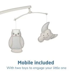 Maxi-Cosi Cassia Swing 29 Maxi-Cosi Cassia Swing -Megababies USA SW128HCOA Cassia Swing K