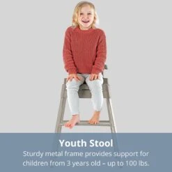 Chicco Stack Hi-Lo 6-in-1 Multi-Use High Chair -Megababies USA Stack Hi Low youth stool