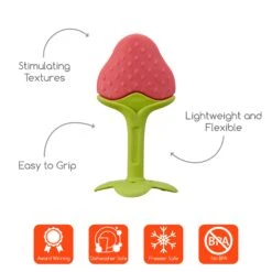Innobaby Teethin' SMART EZ Grip Fruit Teether -Megababies USA TE 303 icons 5000x5000 4d6cd96f 8a0d 44da b570 84d690b79520