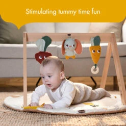 Tiny Love Garden Of Adventures Luxe Developmental Gymini With Book -Megababies USA TO169HFZE Image 08 600x 55118702 83ec 45bd 9cb6 a672ab9256ca