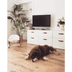 Bloom Baby Coco Go 3-in-1 Baby Lounger 25 Bloom Baby Coco Go 3-in-1 Baby Lounger -Megababies USA coco go natcw 1024x1024 a9a112f4 105e 4c12 9894 0936a0b431ab