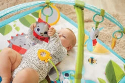 Tiny Love Meadow Days Sunny Day Gymini 8 Tiny Love Meadow Days Sunny Day Gymini -Megababies USA hsh03kwjjny0ntewa3fi