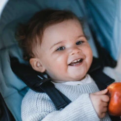 Thule Stroller Seat Liner 25 Thule Stroller Seat Liner -Megababies USA liner grey6