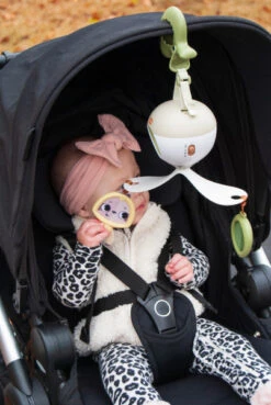 Tiny Love 2-in-1 Take Along Bassinet -Megababies USA o2cngnestxcj2ahkri44