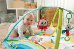 Tiny Love Meadow Days Sunny Day Gymini 7 Tiny Love Meadow Days Sunny Day Gymini -Megababies USA r3amkgsmqauioc5a7c6r