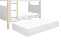 Babyletto Tip Toe Bunk Bed -Megababies USA v6beh7vyfsmsbaerdkyu 1024x1024 8d250630 5f6a 4aaf bdf0 88d7f5e8c2fb