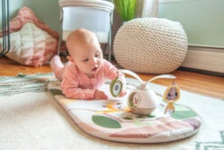 Tiny Love 2-in-1 Take Along Bassinet -Megababies USA wmiwqqopzggf0jy0bcrs